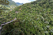 Banos de Agua Santa, Canton Banos, Tungurahua Province, Ecuador. The bridge to the Pailon del Diablo's waterfall