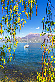 Moored sailboat to Varenna, Province of Lecco, Como Lake, Lombardy, Italy, Europe.