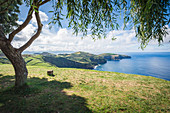 Portugal, Azores, Sao Miguel Island, Baia de Santa Iria, Miradouro de Santa Iria