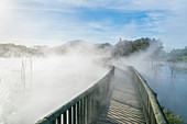 Boardwalk over a hot sulphurous pool. Kuirau Park, Rotorua, Bay of Plenty region, North Island, New Zealand.