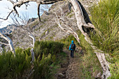 Weg von Pico Ruivo nach Pico do Areeiro, Achada tun Teixeira, Santana-Stadtbezirk, Madeira-Region, Portugal