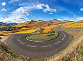 hairpin bend along the Wine Route surrounded by vineyards of the Grand Cru in back ground the medieval village of Turckheim Alsace, France Europe