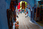 North Africa, Morocco, Chefchaouen district.