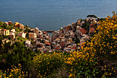 Frühlingstag bei Riomaggiore, Cinque Terre, Stadtbezirk von Riomaggiore, La Spezia-Provinz, Ligurien, Italien, Europa
