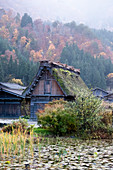 Japan, Shirakawago-Dorf