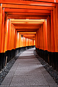 Japan, Kyoto, Fushimi Inari-Schrein, Torii-Tore
