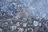 Steine im Eis der Loisach, Großweil, Oberbayern, Bayern, Deutschland, Europa