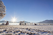 Sonnenaufgang über den Bergen und dem  Kochelseemoos, Großweil, Oberbayern, Bayern