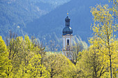 Pfarrkirche St. Jakob in Lenggries im Frühling, Tölzer Land, Oberbayern, Bayern, Deutschland