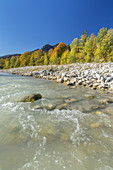 Herbst an der Isar, Lenggries, Tölzer Land, Oberbayern, Bayern, Deutschland