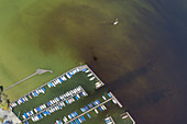 Blick auf den Yachthafen in Seeshaupt am Starnberger See, Fünfseenland, Oberbayern, Bayern, Deutschland,