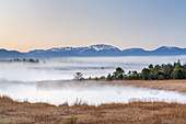 View over the Osterseen on the Benediktenwand, Seeshaupt, Fünfseenland, Upper Bavaria, Bavaria, Germany