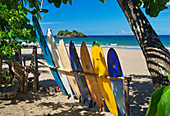 Surfbretter am Strand Puerto Viejo Cocles, Costa Rica