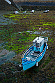 Fischerboot bei Ebbe, Kanalinsel Guernsey