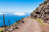 A hiker in Garajonay National Park overlooking the Atlantic, Valle Gran Rey, La Gomera, Canary Islands, Spain