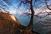 View to the Königsstuhl, Jasmund National Park, Rügen, Baltic Sea, Mecklenburg-Vorpommern, Germany