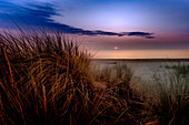 Dünenlandschaft bei Sonnenuntergang am Ostseestrand von Darß, Mecklenburg-Vorpommern