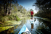 Mann beim Stand Up Paddling auf der Würm nahe Leutstetten, Bayern, Deutschland