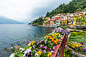 Flowers in town of Varenna by Lake Como, Italy