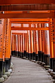 Vermilion torii gates at the Fushimi Inari Shrine in Kyoto, Japan, Asia