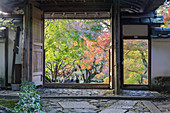 Herbstfarbe in Anraku-jitempel in Kyoto, Japan, Asien