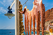 Krake zum Trocknen aufghängt im Hafen von Oia, Santorini, Cycladen, ägäische Inseln, griechische Inseln, Griechenland, Europa