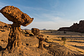 Die Pilzfelsformationen, Ennedi-Hochebene, UNESCO-Welterbestätte, Ennedi-Region, Tschad, Afrika