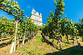 Sanctuary Santa Casa di Loreto surrounded by vineyards, Tresivio, Sondrio province, Valtellina, Lombardy, Italy, Europe