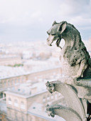 Nahaufnahme der Gargoyle-Statue, Notre Dame de Paris, Paris, Frankreich