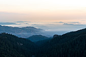 Scenery with mountains and forest at sunrise in El Chico National Park, Hidalgo, Mexico