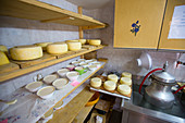 Käse trocknen auf Regalen am Bergbauernhof in Uskovnica auf Pokljuka-Hochebene in Julian Alps, Slowenien