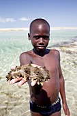 Portrait of boy standing on coastal beach and holding sea slug, Mozambique