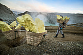 Sulfur miner carrying heavy load of Sulphur at top of Kawah Ijen Volcano, Java, Indonesia