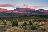 Mount Ngauruhoe, Tongariro Nationalpark, Manawatu-Wanganui, Nordinsel, Neuseeland, Ozeanien