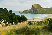 Küste bei Castle Point, Wellington, Nordinsel, Neuseeland, Ozeanien