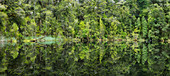 Mirror Lake, Oparara Basin, Kahurangi Nationalpark, West Coast, Südinsel, Neuseeland, Ozeanien