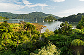 Ngakuta Bay, Marlborough, South Island, New Zealand, Oceania