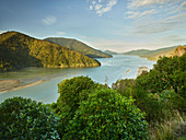 Pelorus Sound, Tasman, South Island, New Zealand, Oceania