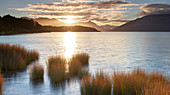Lake Te Anau, Te Anau Downs, Southland, South Island, New Zealand, Oceania