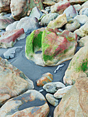 Rocks at Back Beach, Mew Plymouth, Taranaki, North Island, New Zealand, Oceania