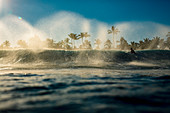 Male surfer paddling out over breaking wave on ocean at sunrise, Sayulita, Nayarit, Mexico