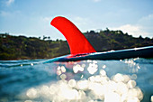 Bright red fin on surfboard floating on sunny ocean