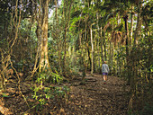 Woman walking in forest in Myall Lakes National Park, Australia