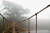 Long Rope Bridge,Sapa, Lo Cai province, Vietnam