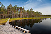 Ruhiger See im Viru Moor, Estland