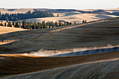 Rolling rural landscape, Palouse, Washington, United States