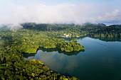 Forest and Lake, Barro Colorado Island, Canal Zone, Panama