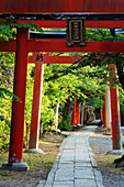 Steinweg und japanische Arkaden, Kyoto, Japan