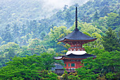 Pagoda, Honshu Island, Japan, Asia