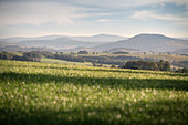 Landschaft in der Montanregion im Erzgebirge, Sachsen, Deutschland